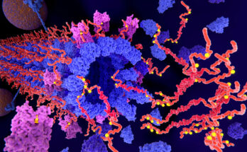 Alzheimers tau protein