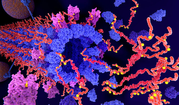 Alzheimers tau protein