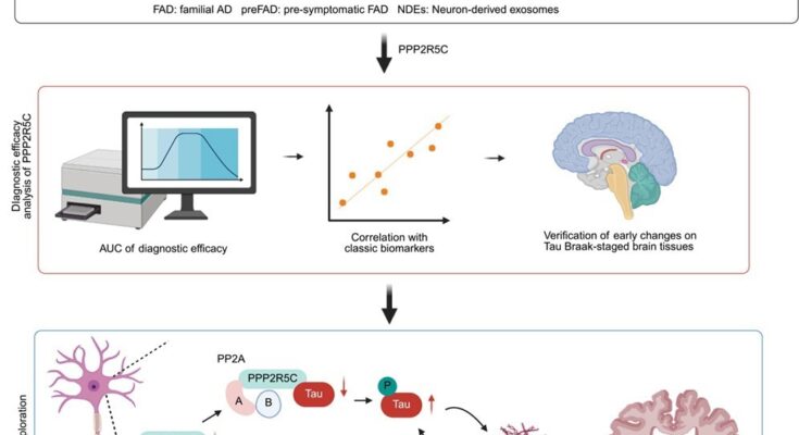 Study: Neuronal PPP2R5C in plasma is a potential biomarker for early diagnosis of Alzheimer’s disease