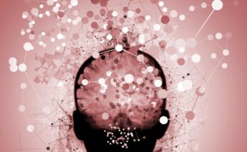 Neuroscience Brain Mapping Confusion Dementia