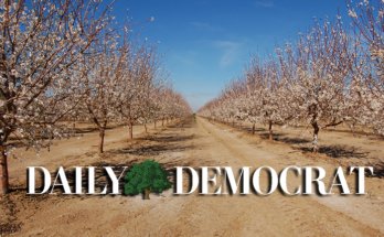 dailydemocrat default image