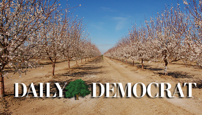 dailydemocrat default image