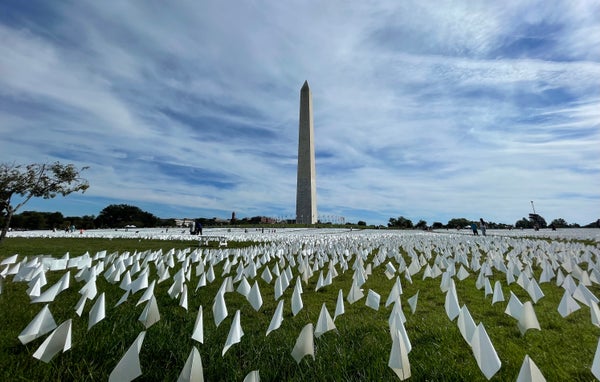 Un montón de banderas blancas cubrían el césped frente al Monumento a Washington en DC.